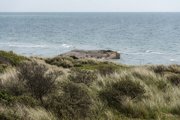 coastal landscape with windswept grasses and low shrubs overlooking a calm, blue sea. A large rock formation sits near the shoreline, adding a natural focal point to the serene, rugged scenery