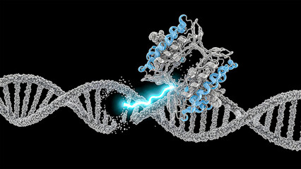 Molecular representation of a protein enzyme performing gene editing on a dna molecule