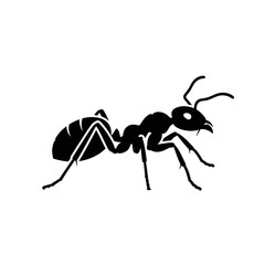 Ant Silhouette Icon – Insect Bug Minimal Black Vector Illustration