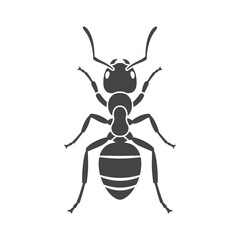 Ant Silhouette Icon – Insect Bug Minimal Black Vector Illustration