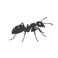 Ant Silhouette Icon – Insect Bug Minimal Black Vector Illustration
