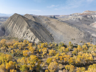 Aerial view of golden trees nestle against the rugged, arid mountain range under a clear blue sky, Crowheart, Wyoming, United States.