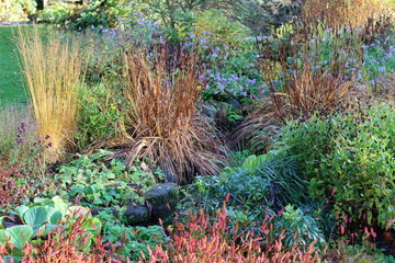 Colourful flower beds in a garden in autumn