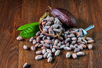Cocoa beans, organic cacao bean or dried cocoa beans and cacao pod on brown background