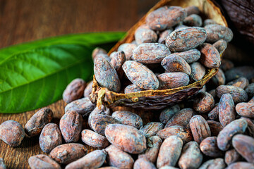 Cocoa beans close-up, organic cacao bean or dried cocoa beans on brown background