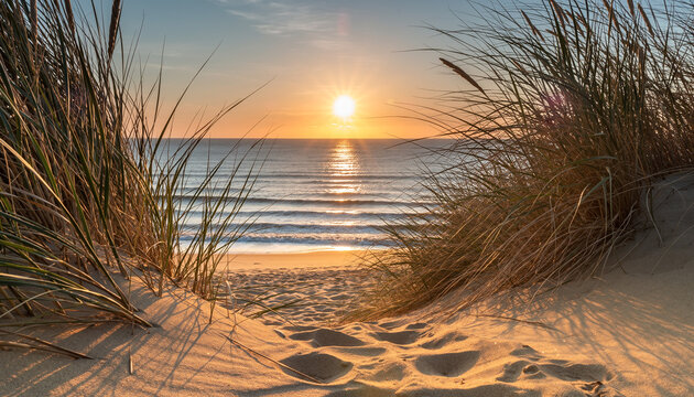 Serene Coastal Dunes at Sunset with Tall Beach Grass, Textured Sand Path, and Calm Ocean Horizon Under a Soft Pastel Sky - Powered by Adobe