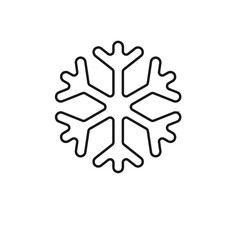 Snowflake Winter Cold Icon