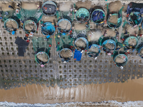 Aerial view of a vibrant tapestry of coracles and fishing nets lying on a concrete pier where the golden sands meet the restless turquoise sea, Quy Nhon, Binh Dinh, Vietnam.