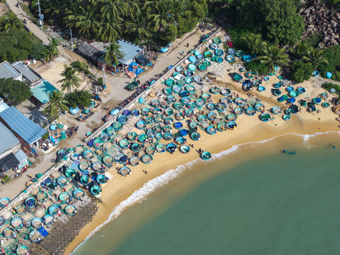Aerial view of vibrant turquoise coracles clustered along the golden sands of the beach near the lush greenery, creating a striking coastal scene, Quy Nhon, Binh Dinh, Vietnam.