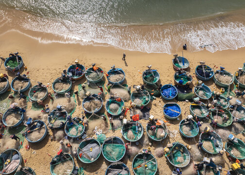 Aerial view of coracles resting on the golden sands where the turquoise sea meets the shore in a vibrant display of coastal life, Quy Nhon, Binh Dinh, Vietnam.
