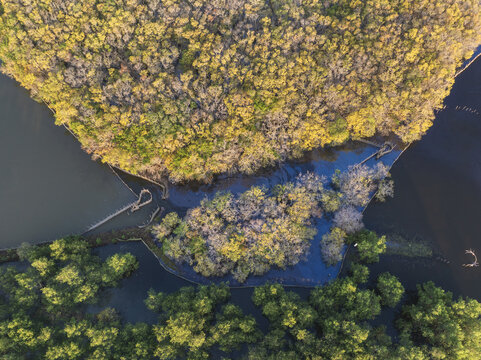 Aerial view of the tranquil waters weaving through the dense, vibrant mangrove forests, creating a mesmerizing contrast of greens and blues, Hương Tr&agrave;, Hue City, Vietnam.