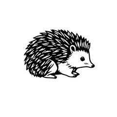 Black line art, outline of a curled up hedgehog, w
