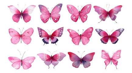 Collection of spring butterflies in soft watercolor style. Pink romantic butterflies hand-drawn on isolated background. Spring and summer insects. Vector illustration. © Narin
