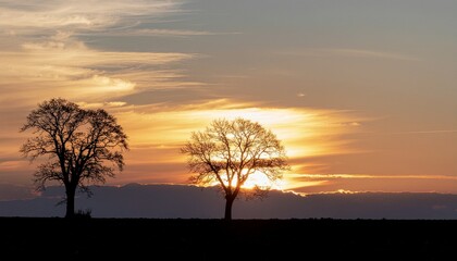 Two bare trees silhouetted against a vibrant orange and yellow sunset sky