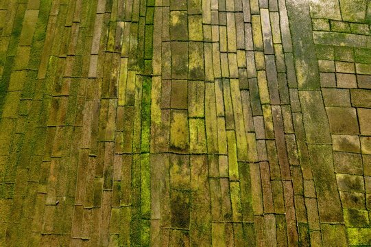 Aerial view of weathered brickwork laid in geometric patterns, textured with green moss and age, creating a natural mosaic of color and form, Sirajganj, Rajshahi Division, Bangladesh.