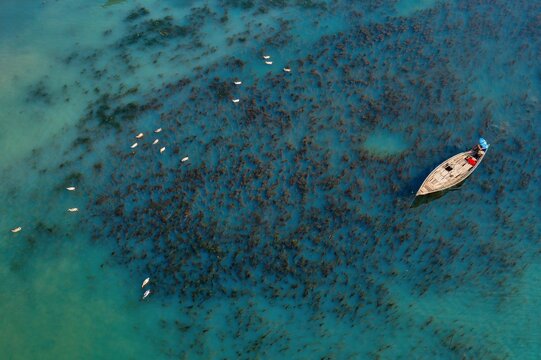 Aerial view of a boat sailing on the shimmering, turquoise waters amidst patches of dark vegetation, creating a stark contrast in the river, Sirajganj, Rajshahi Division, Bangladesh.