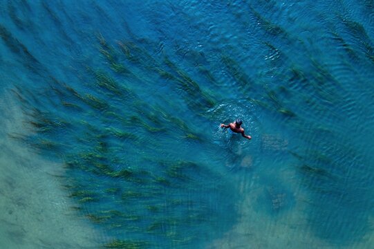 Aerial view of a lone figure swimming in the bright blue waters amidst patches of green seaweed, Sirajganj, Rajshahi Division, Bangladesh.