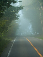 山の朝の濃霧の天気の中の道路の風景