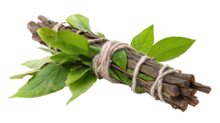 Smudge Stick with Leaves, Isolated