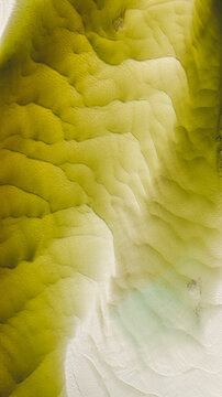 Aerial view of the abstract land formation, a symphony of olive and cream hues blending seamlessly in an organic, undulating pattern, Great Harbour Cay, Berry Islands, The Bahamas.