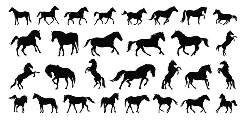 horse silhouette set. horse different poses isolated farm animal silhouette icon vector collection