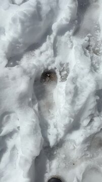  Snow-covered Himalayan trail on the way to Satopanth Lake via Vasudhara 4k.