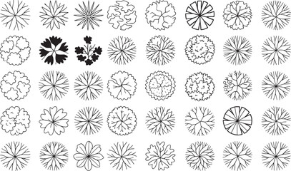 Top View Plant Icons Collection  Vector Tree & Shrub Symbols