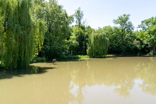 Schleifsee Neuenstein