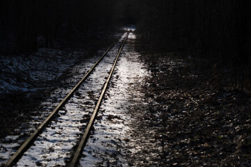 Fototapeta premium narrow-gauge railway in the forest, Bialowieza Forest, Poland
