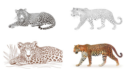 Elegant leopard line art illustration on white background, minimal wildlife outline drawing showcasing strength and grace, suitable for modern design, logo use, posters, prints and creative nature 