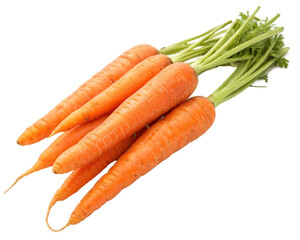 bunch of carrots