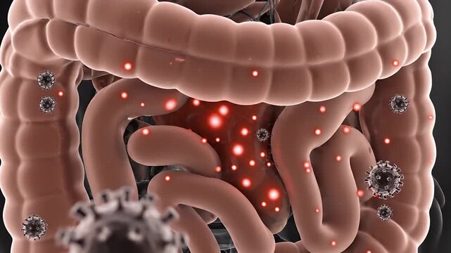 Human Intestines with Microbes and Inflammation, 3D Medical Animation.