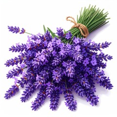 Lavender bunch tied with twine, angled