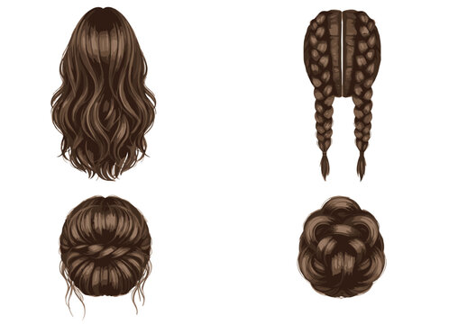 Detailed Vector Illustration Set of Women's Hairstyles Including Long Wavy Hair, Braids, Updos, and Intricate Back View Hairdos.