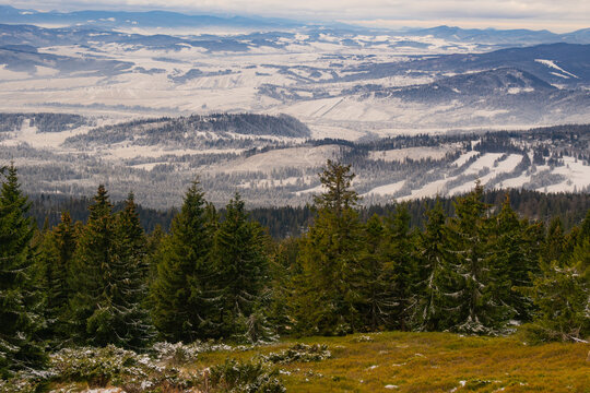 View of snow-dusted hills and valleys unfold beneath a canopy of evergreen trees, a winter panorama of subtle colors and textures, Babia Hora, Zilina Region, Slovakia.