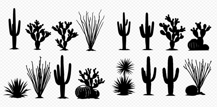 Set of various desert plants and cacti silhouettes on transparent background.