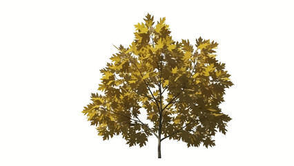 Fototapeta premium A small tree with vibrant golden leaves stands alone against a clean white background, symbolizing thanks and giving during the autumn season.