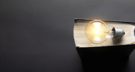 Light bulb and book on the black background.