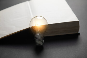Light bulb and book on the black background.