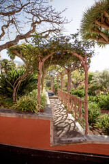 La Orotava, Tenerife, Spain 03.06.2018:  Photos taken in La Orotava, Tenerife A narrow path leads through a vibrant garden adorned with unique trees and carefully designed walkways