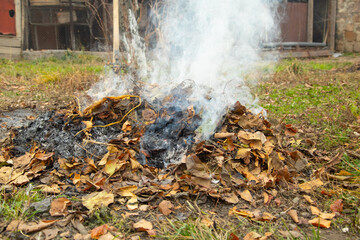 Smoke in the garden. Burning autumn leaves