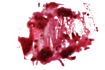 Blackcurrant jam spot isolated on white background.