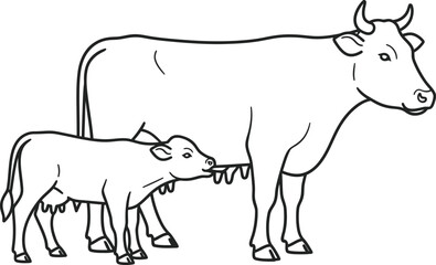 Mother Cow Nursing Her Calf in a Peaceful Farm Setting