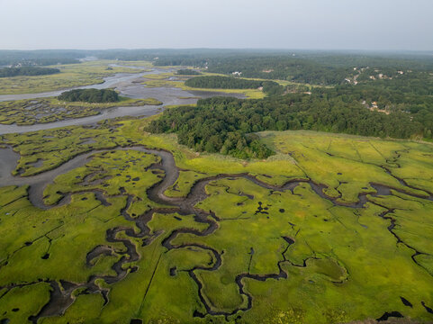 Aerial view of sinuous waterways carve through vibrant green marshlands, edged by dark woods, revealing Gloucester's serene coastal tapestry from above, Gloucester, Massachusetts, United States.