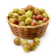 Juicy Green and Red Gooseberries in Woven Basket Shot in Studio with White Background