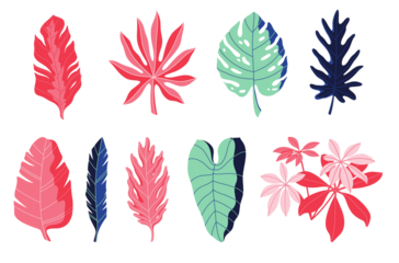 Collection of tropical leaves in pink, red, teal, and dark blue isolated on transparent background
