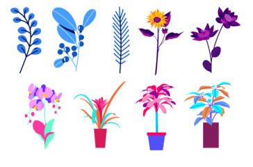 Collection of stylized tropical and decorative houseplants isolated on transparent background