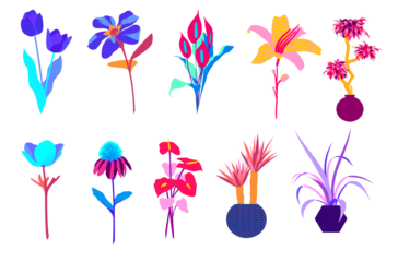 Collection of ten stylized, colorful floral illustrations isolated on transparent background