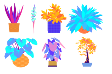 Collection of vibrant, stylized potted houseplants in various shapes and colors isolated on transparent background