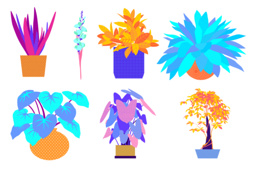Collection of vibrant, stylized potted houseplants in various shapes and colors isolated on transparent background - Powered by Adobe